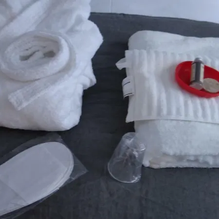 Maison 88 M2 Le Patio Du Centre Avec Garage Сasa de vacaciones Tours