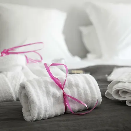 Holiday home Maison 88 M2 Le Patio Du Centre Avec Garage *