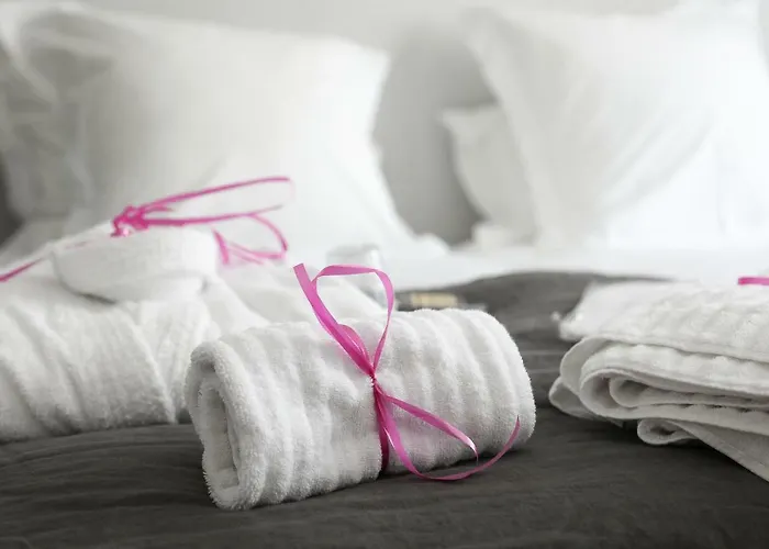 Dom wakacyjny Maison 88 M2 Le Patio Du Centre Avec Garage *